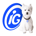 Logo IG